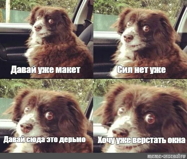 Дай сюда быстро
