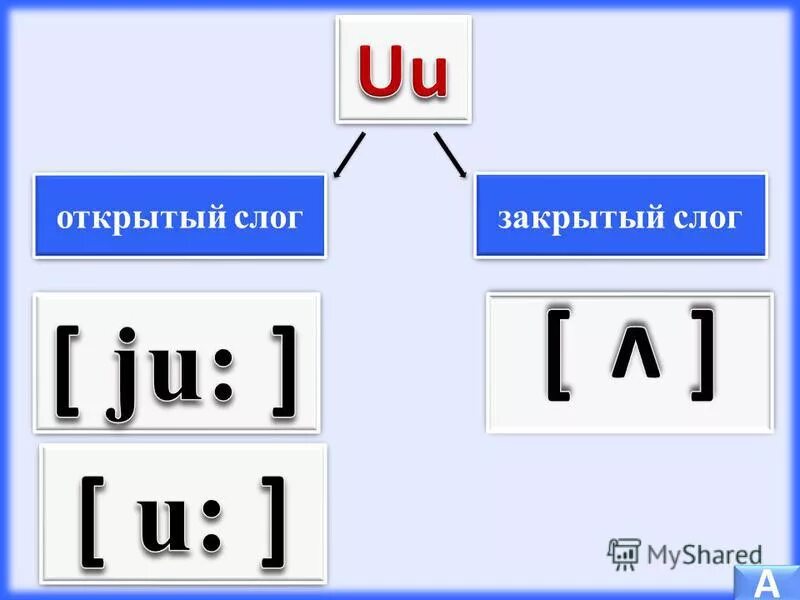 Открытый и закрытый слог. U звук в английском. Звук u в закрытом слоге. Звук о в открытом и закрытом слоге. Закрытый открытый слог гласных английский