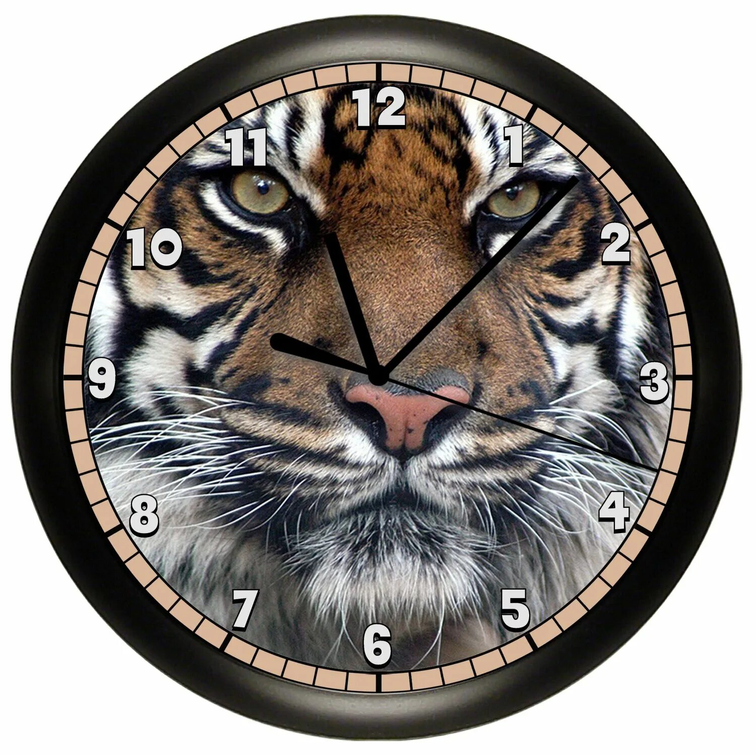 Часы про животных. Часы с тигром. Циферблат животные. Часы с животными. Часы с животными настенные.
