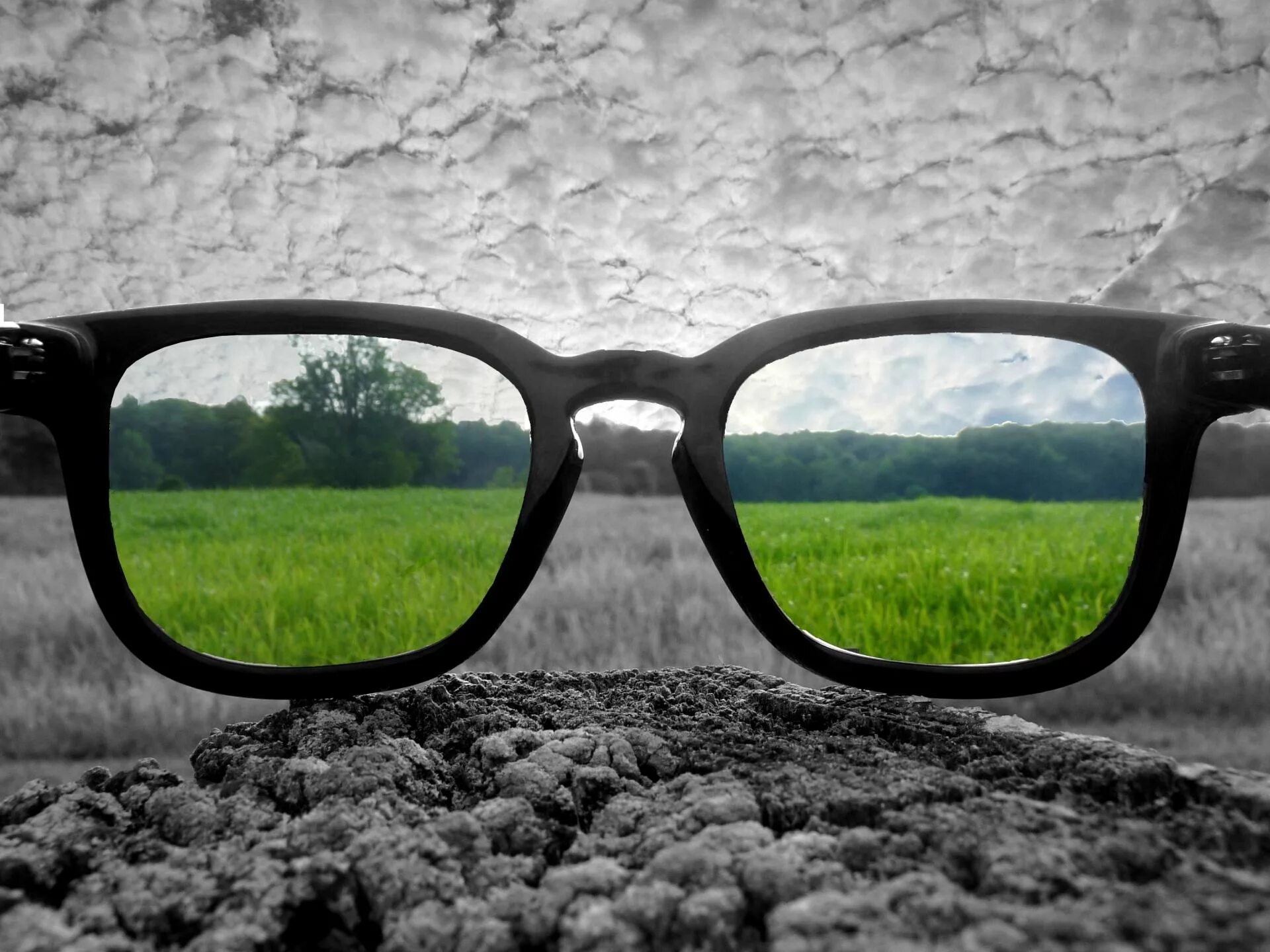 Видеть. Мир сквозь очки. Очки для дальтонизма. Взгляд на мир сквозь очки. Вид в очках.