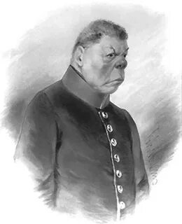 Сквозник дмухановский герой