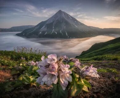 Вулкан на курилах