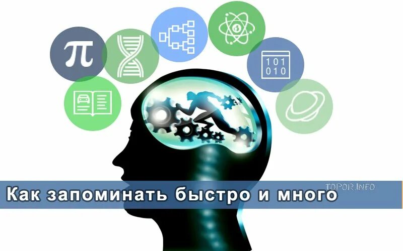 Как быстро запоминать большую информацию. Как быстро запоминать большую информацию