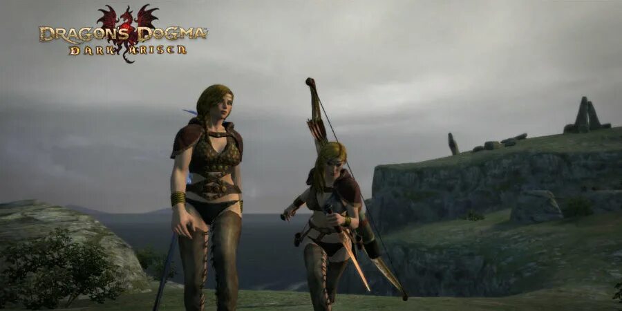 Dragon s dogma 2 ратник. Dragon's Dogma Set Fisherman. Драгон Догма персонажи. Dragon's Dogma женский персонаж.