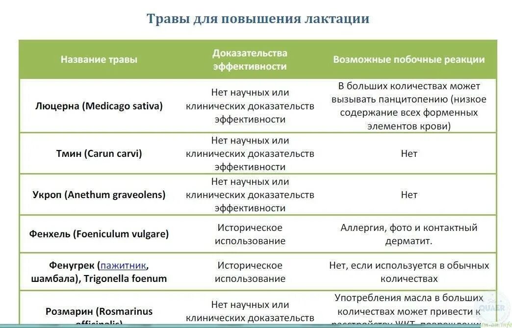 Что повышает лактацию у кормящих. Методы повышения лактации. продуктыповышающ е лактацию. продукты повышающие локтации. продукты поднимающие лактацию.