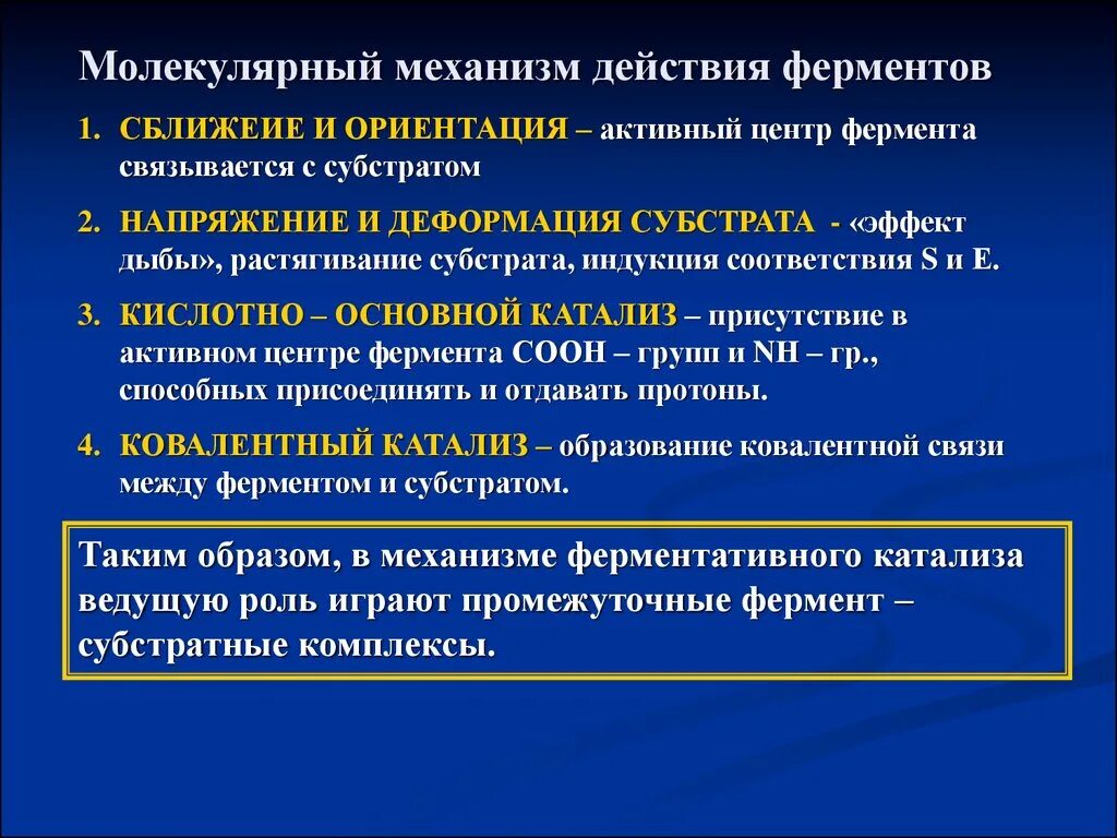 Этапы действия ферментов. Молекулярные механизмы ферментативного катализа. Механизм действия ферментов молекулярные механизмы. Механизм действия ферментативного катализа. Молекулярный механизм действия.