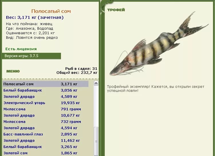 Русская рыбалка 3 сом. Русская рыбалка 3.6 краснохвостый сом. Лещ полосатохвостый. Где ловится полосатик. Русская рыбалка 3 7 6 Амазонка черный сом.
