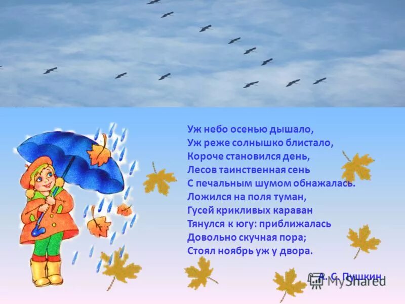 Караван тянулся. Уж небо осенью дышало. Стихотворение уж небо осенью дышало. Уж небо осенью дышало тема. Гусей крикливых Караван тянулся к югу.