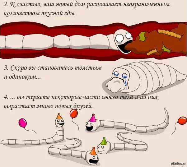 Доедай червей и пошли домой анекдот. Анекдот про червей. Сын червяк спрашивает папу червяка: «папа, а в яблоке жить хорошо?»…. Анекдот про глистов. Анекдот про червей.