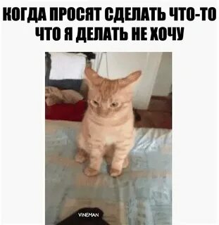 Почему страница просит