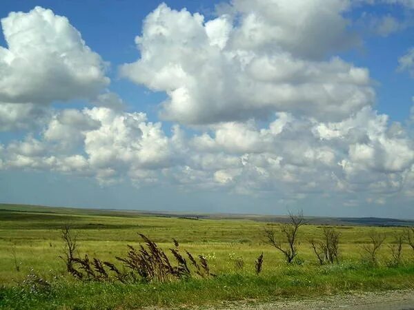 Благодарю тебя, калмыцкий мой язык": краеведческий час / "Хальмг келн мини, чамд