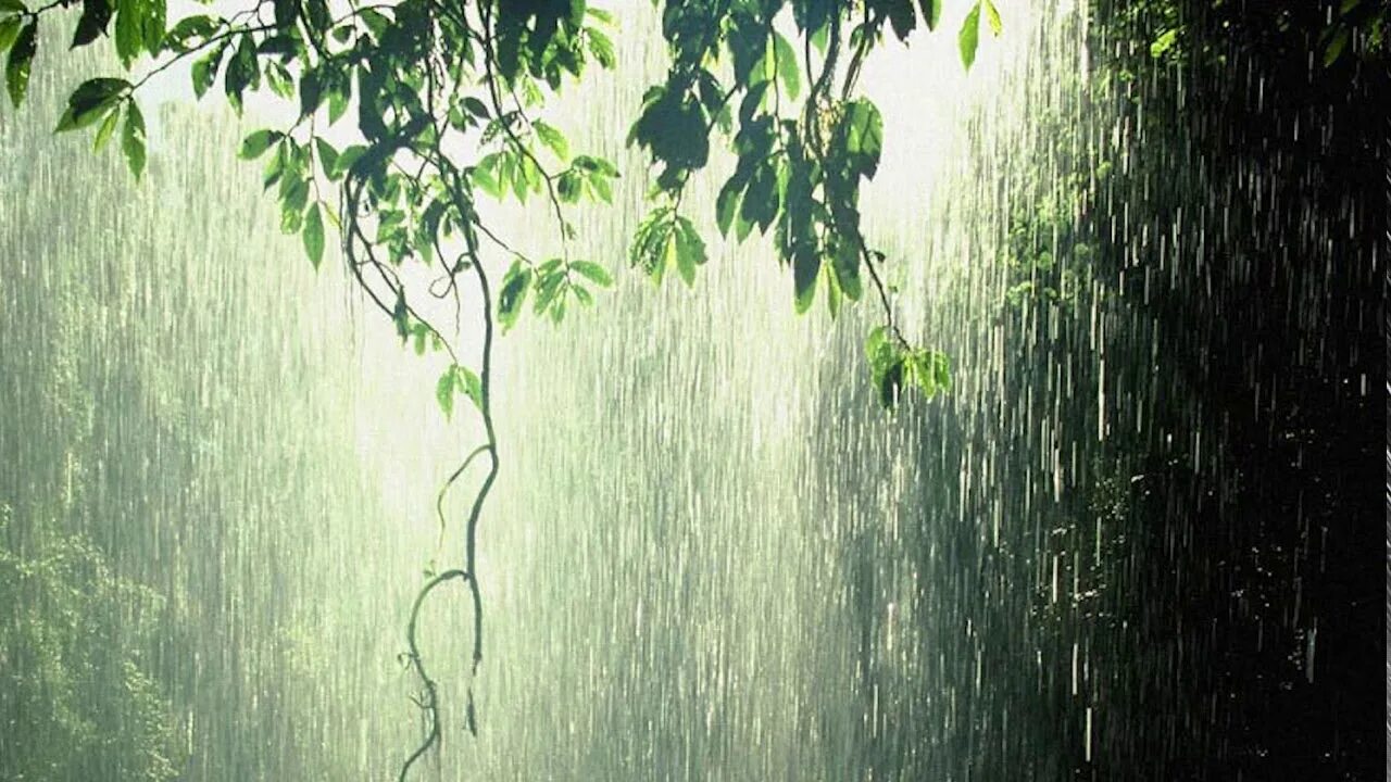 Звуки дождя 2 часа. Шум дождя. Под звуки дождя. Фон звука дождя. Красивый звук дождя.
