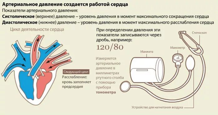Нормальная разница между верхним и нижним