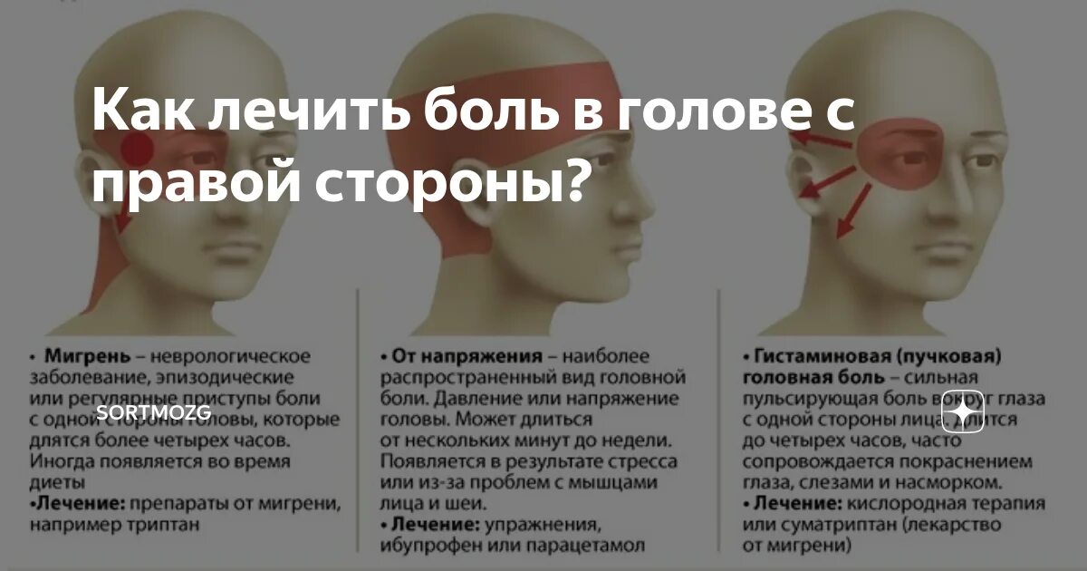 Боли в голове давит на лоб. Болит лоб и затылок. Годоыа болит справой тороны. Болит гтлова СПРАВЛЙ стороны.