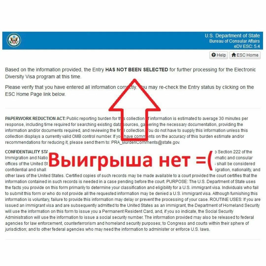Октябрята DV2016 - Страница 5 - Прохождение интервью по лотерее. - Форум "Говори