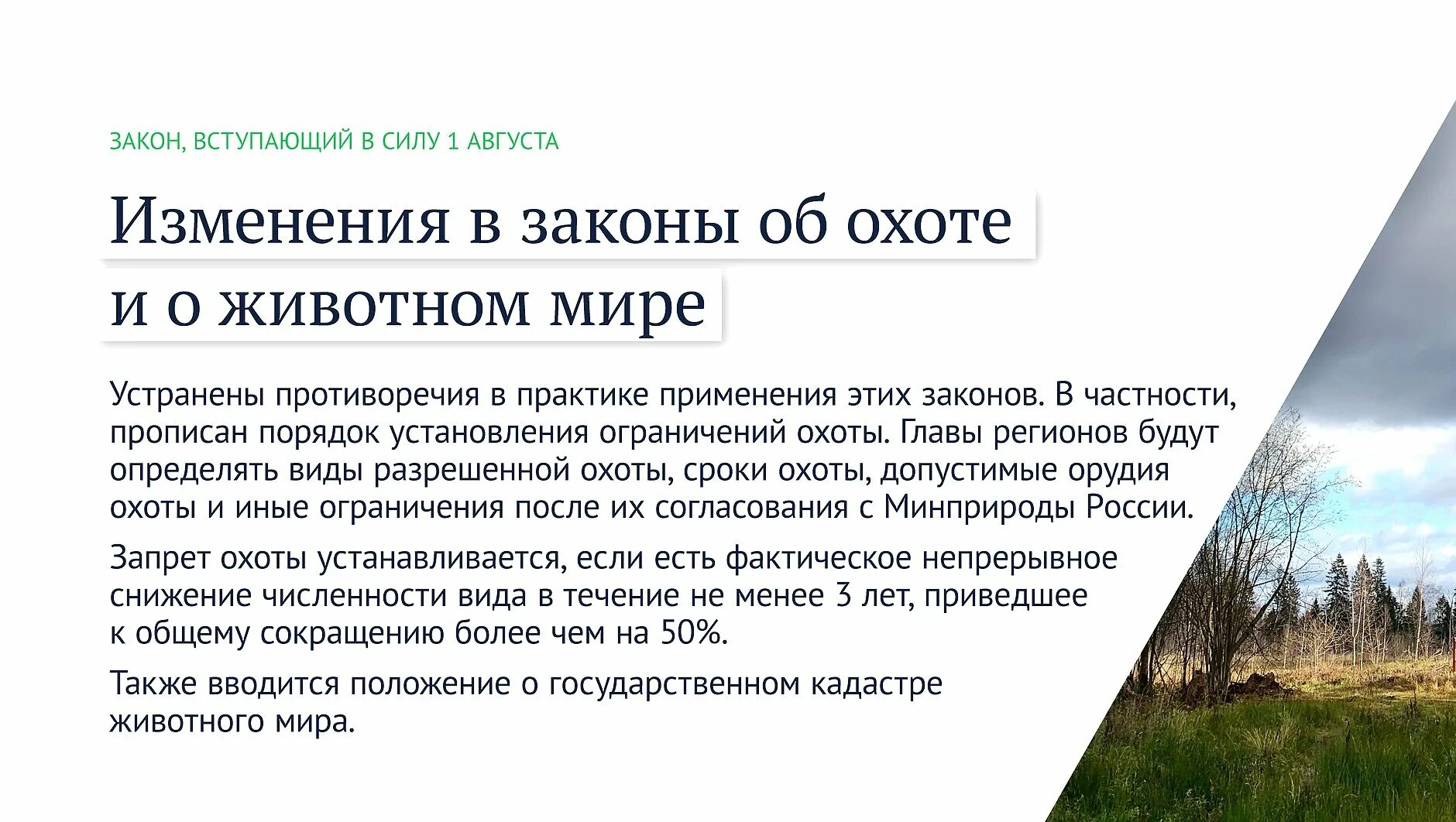 Вступающие в силу, с 1 августа законы. Изменение в охотничьем законодательстве. Изменение законов в августе. Закон об охоте. С 1 мая законы вступают в силу