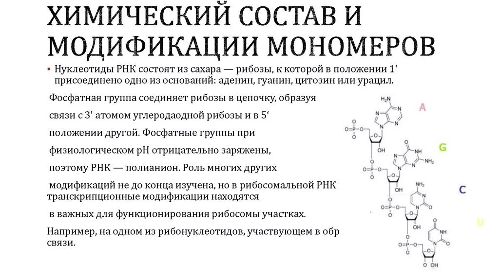 Углевод в составе мономера рнк. Мономеры химический состав. химический состав и модификации мономеров рнк. какие элементы могут входить в состав мономеров рнк?. состав винета химический состав.