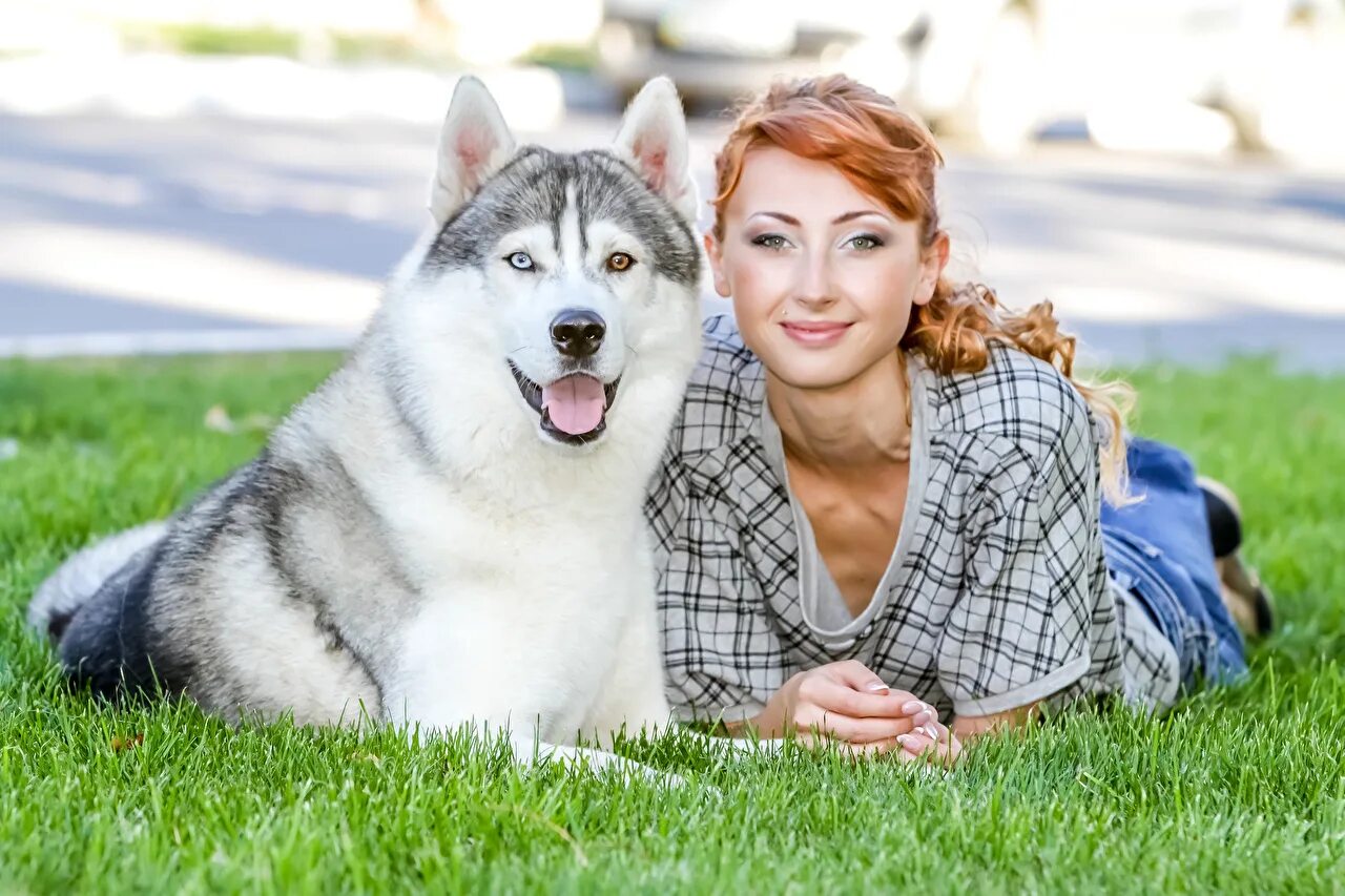 девушка с котом. женщины их животные. женщины их животные. женщины их животные. человек с собакой.