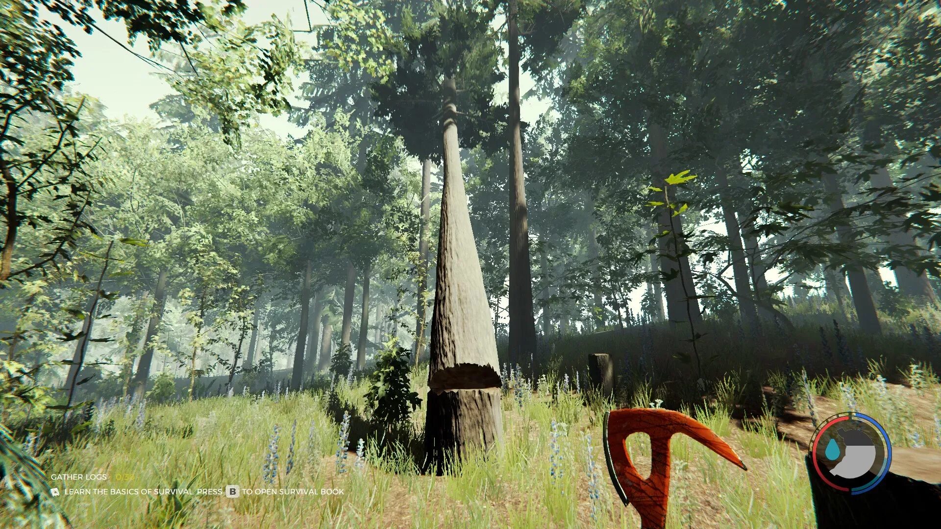 Игра где рубят деревья. Forest игра. зе форест дерево. игра рубить деревья. игра где дерево.