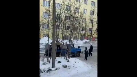 Кировск 51