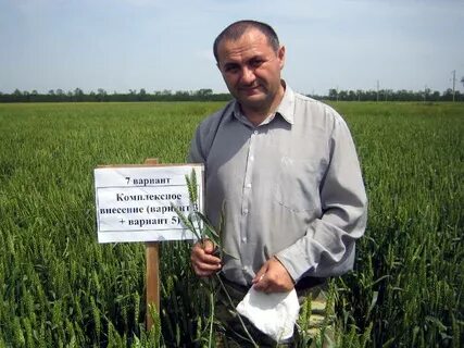 Слоган ставропольского края