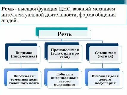 Физические процессы речи