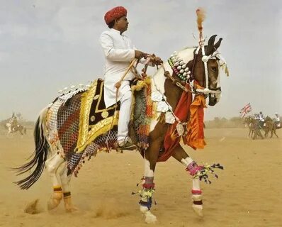 Dancing horses