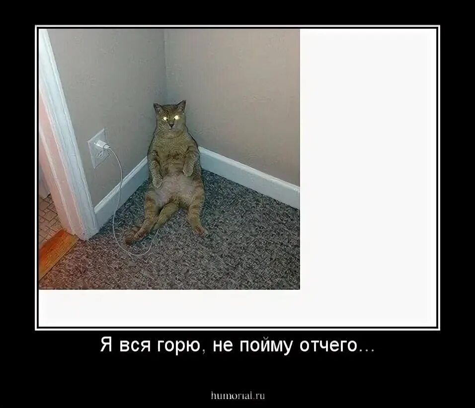 Люблю тебя мой слоник. Стих слоник слоник настоящий. Стих слоник слоник настоящий слон живой. Тювиков семен. Плачет берёзка.