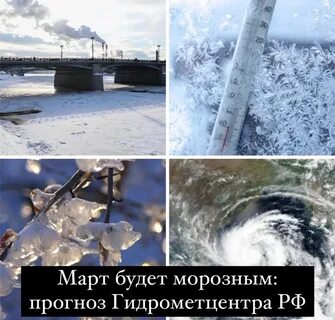 Март воля