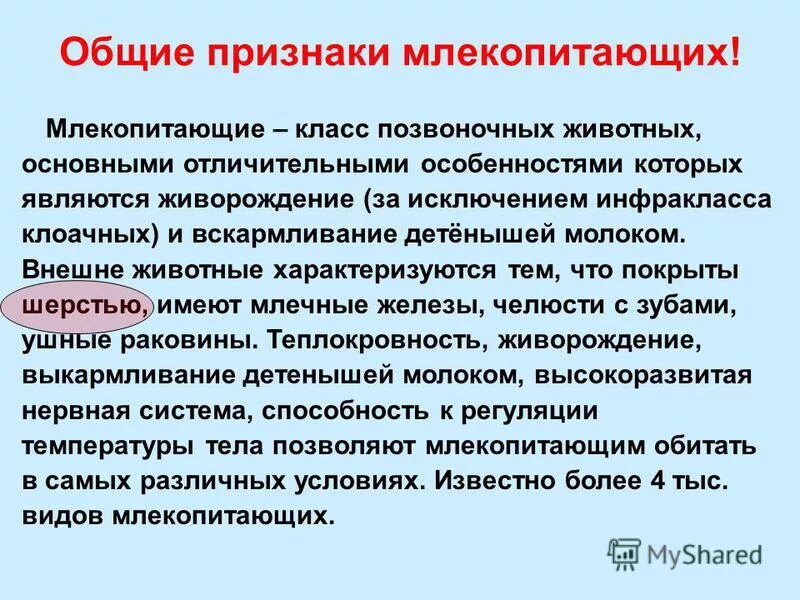 Основные признаки млекопитающих. Основные признаки классов млекопитающих. Основные признаки млекопита. Существенные признаки млекопитающих.