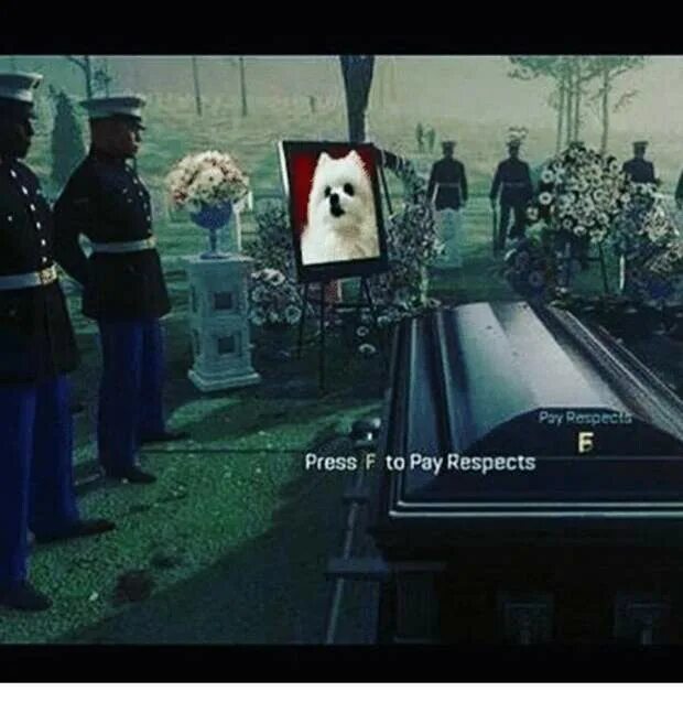 Call of Duty Press f to pay respects. Пресс ф респект. Press f to pay respect Мем. Press f to pay respect Metal Gear. Что означает press