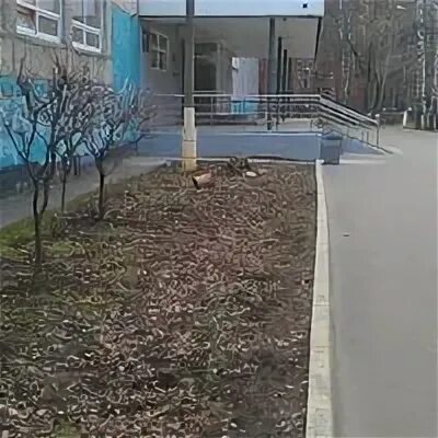 Лицей 10 новосибирск