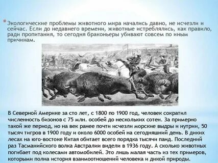Хищнический предложение