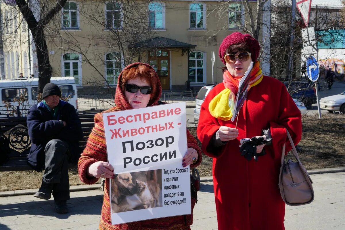 Митинги против живодеров. Бесправие. Бесправие животных. Полное бесправие человека.