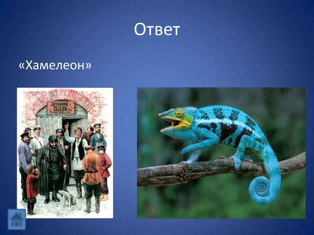 Хамелеон ответы на вопросы. Хамелеон. Реакция хамелеон. Мое отношение к хамелеону животному. Котопоиск ответы хамелеон.