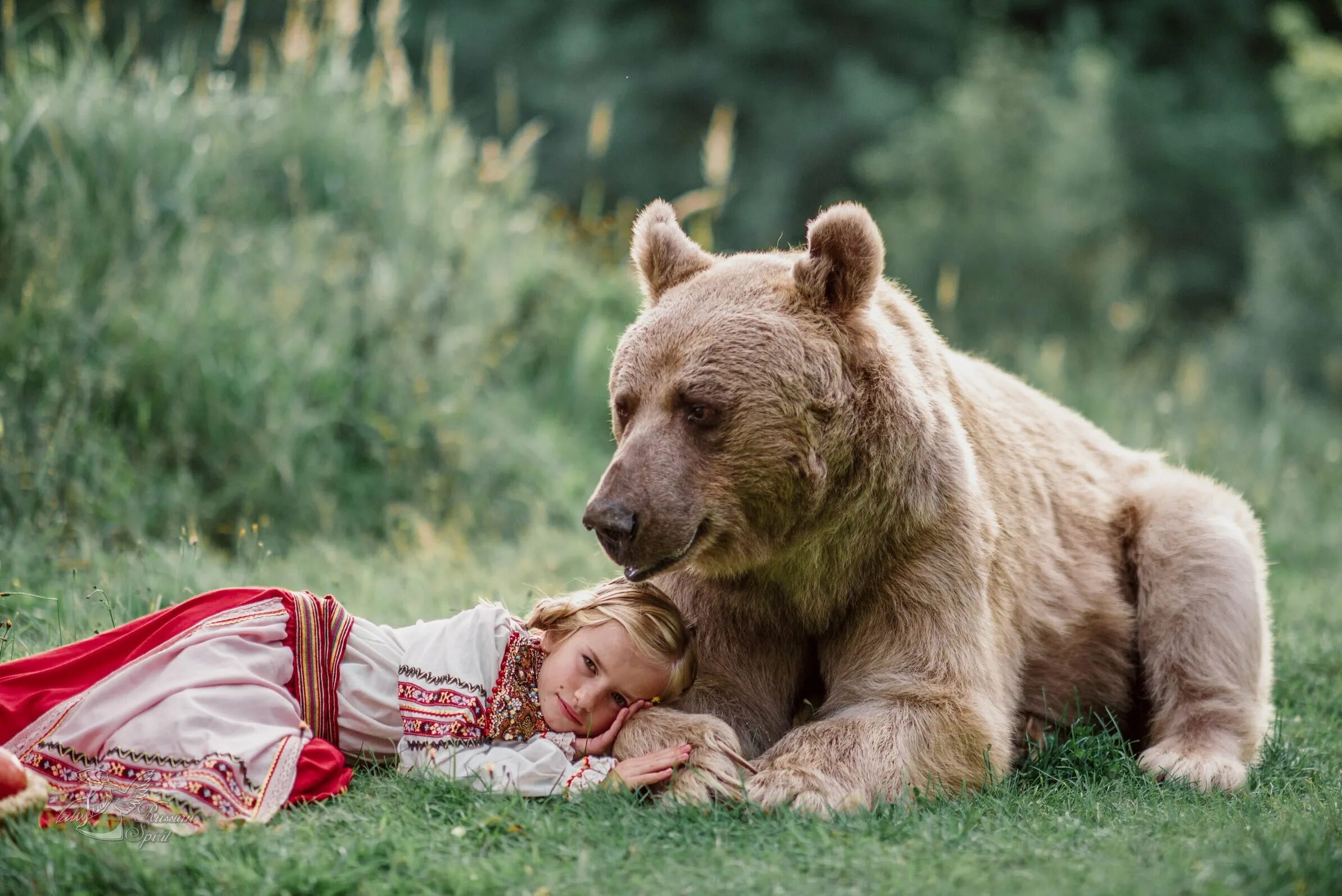 Медведь. Русский медведь. Медведь картинка. Медведь с медвежонком.