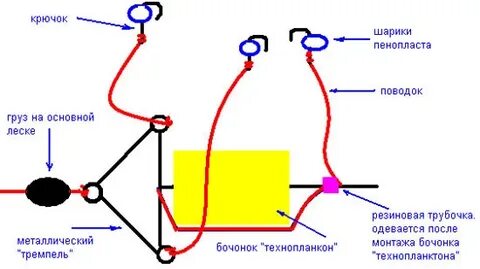 Рыбалка на что ловить толстолобика