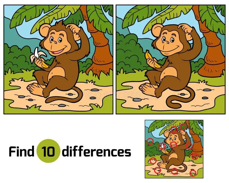 Задача обезьяна. Найди отличия. Найди отличия обезьяны. Найди отличия джунгли. Найди отличия животные.