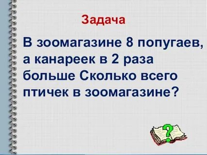В зоомагазине в каждой клетке