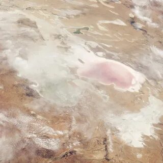 Озеро эйр соленое или пресное