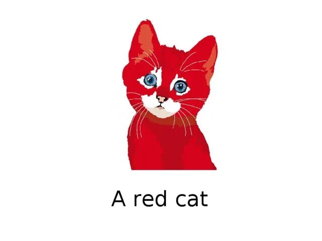 Про red cat. Ред Кэт. Картинка Рэд Кэт. Ред кет на прозрачном фоне. Red Cat логотип.