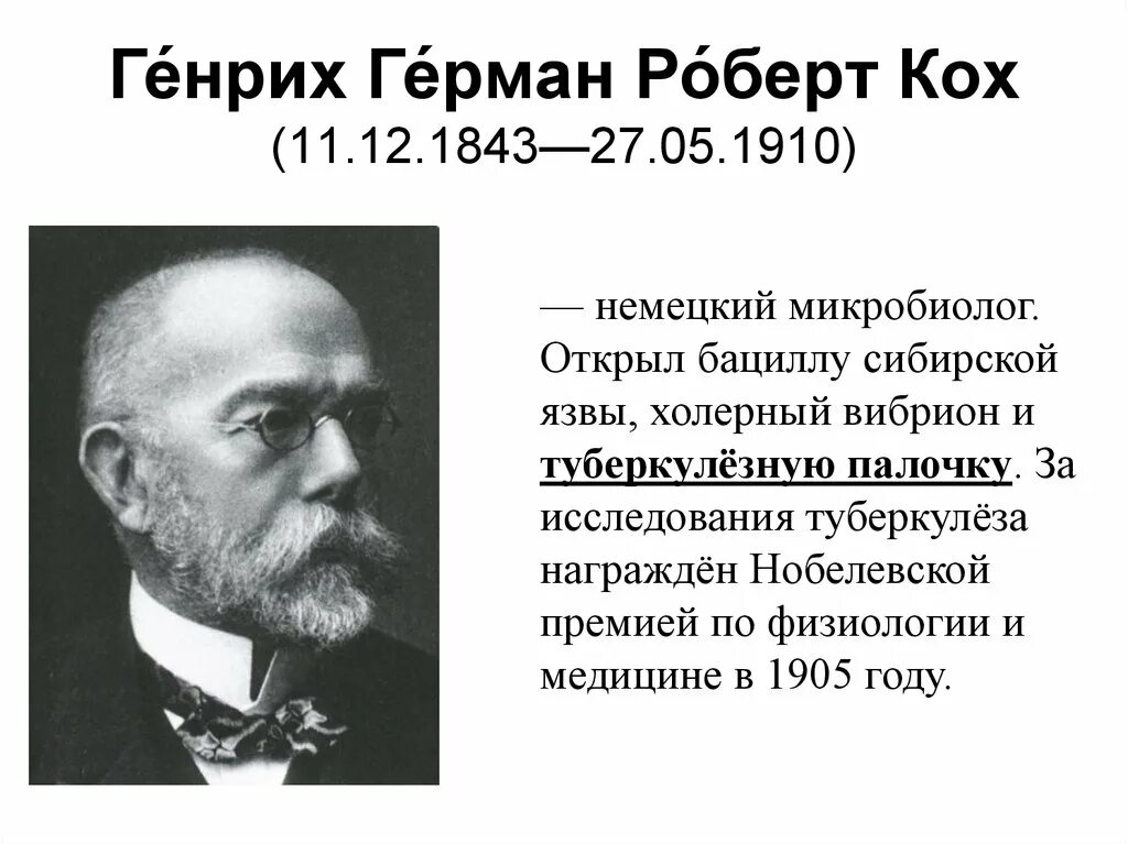 Туберкулезная палочка палочка коха. Кох р открытие туберкулезной палочки наука. Палочка коха (mycobacterium tuberculosis). Кох р открытие туберкулезной палочки наука. Кох р открытие туберкулезной палочки наука.