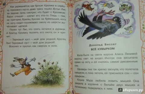 Биссет все кувырком