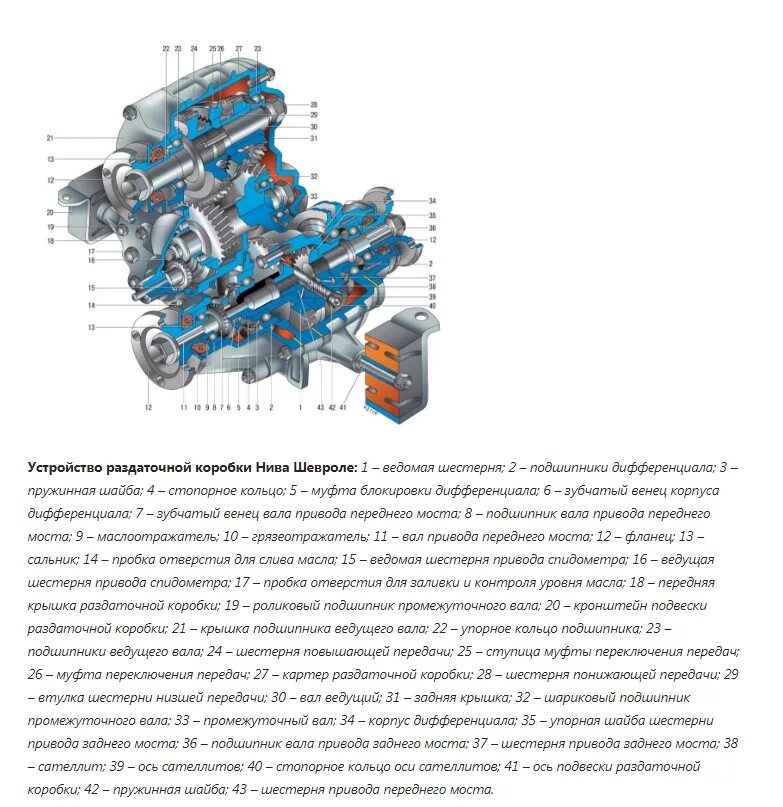 Раздатка шнивы. Раздаточная коробка Нива 21213 схема. Раздаточная коробка ВАЗ 2123 схема. Конструкция раздатки Нива Шевроле. Устройство раздаточной коробки Нива 2121.