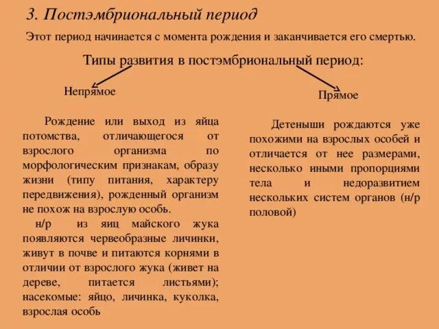 Чем отличается прямое и непрямое развитие. Чем отличается прямое и непрямое развитие