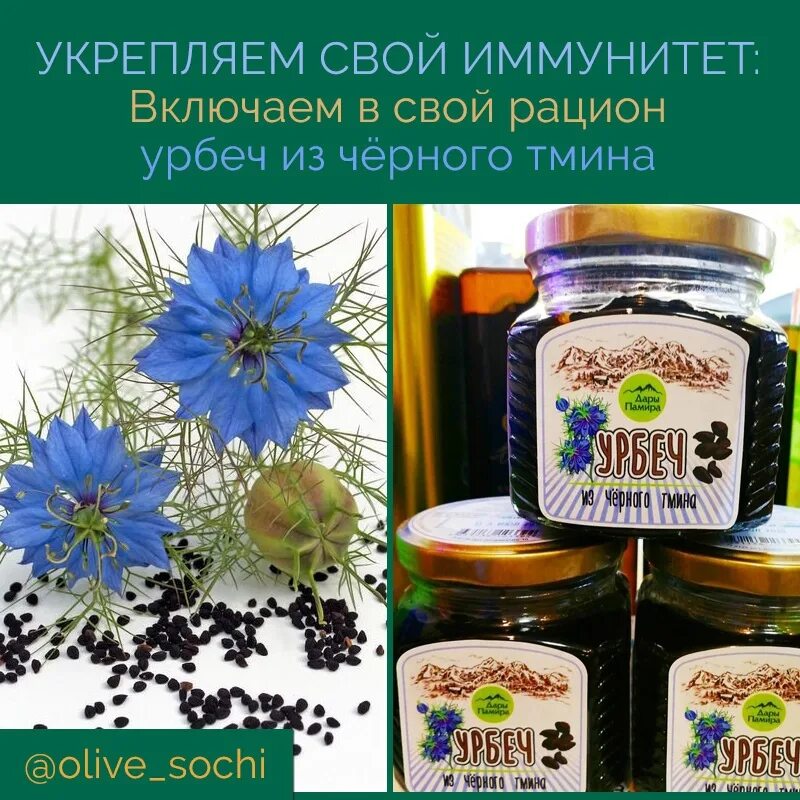 Урбеч тмин польза и вред. Урбеч семена черного тмина. черный тмин паста. урбеч из семян черного тмина. тмин для иммунитета.
