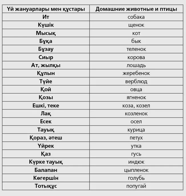 Простой язык перевод. Казахские слова. сова на казахском языке. казахский язык. словарь казахского языка.