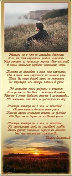 Стих не жалейте вдогонку. Стих не жалейте. Никогда ни о чём не жалейте стихотворение. Никогда ни о чём не жалейте Дементьев. Стих не о чем не жалейте.