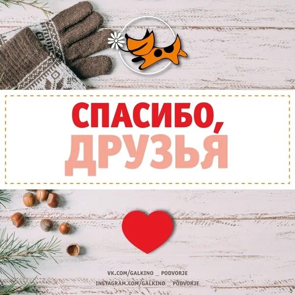 Галкино подворье. Галкино подворье. Галкино подворье. Приют галкино подворье логотип. Сбор корма.