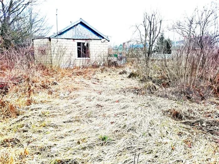 Прогноз на 10 дней в пгт афипский. Афипская северский район. пос афипский северский район краснодарский край ул. пушкина 1. пгт афипский, улица пушкина 113/5. пгт афипский, ротон.